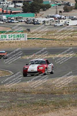media/May-03-2025-Lucky Dog Racing (Sat) [[206de64b9d]]/Turn 4 A (3pm-4pm)/